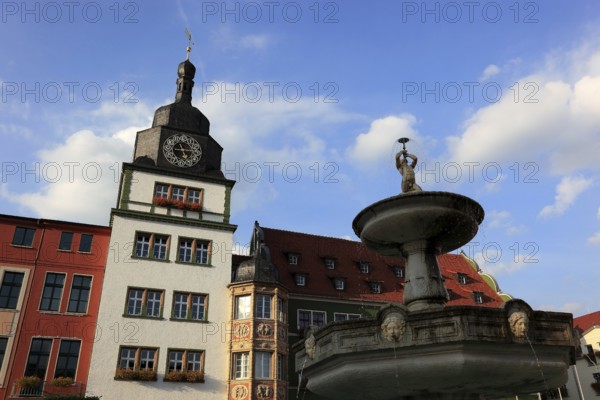 Town Hall and Fountain on the Market Square, Rudolstadt, Saalfeld-Rudolstadt District, Thuringia, Germany