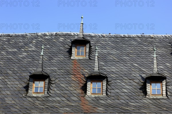 Roof detail, Ehemaliges Rittergut Schloss Kochberg near Großkochberg, Rudolstadt, Saalfeld-Rudolstadt district, Thuringia, Germany
