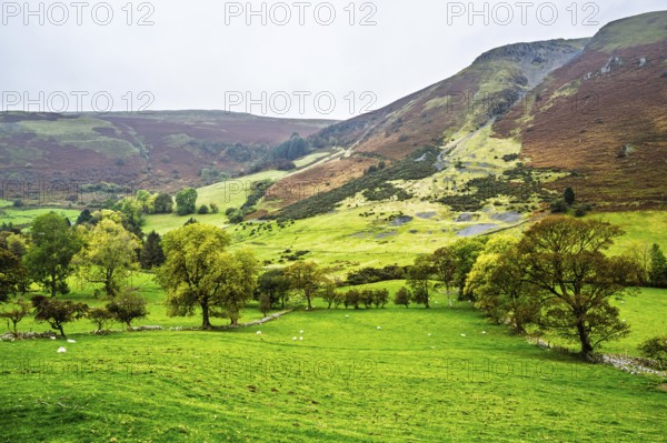 Autumn colors over Farms and Fields, Wales, UK