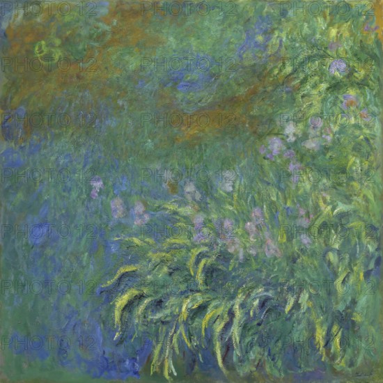 Claude Monet (b. 14 November 1840 in Paris as Oscar-Claude Monet, d. 5 December 1926) important French painter, Impressionist style. Here his work, Irises (1914-17), Irises (1914-17), A dense texture of plants and flowers in a lush garden