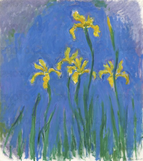 Claude Monet (b. 14 November 1840 in Paris as Oscar-Claude Monet, d. 5 December 1926) important French painter, Impressionist style. Here is his work, Iris blossoms, Bright yellow iris blossoms against a blue background, lively and colourful