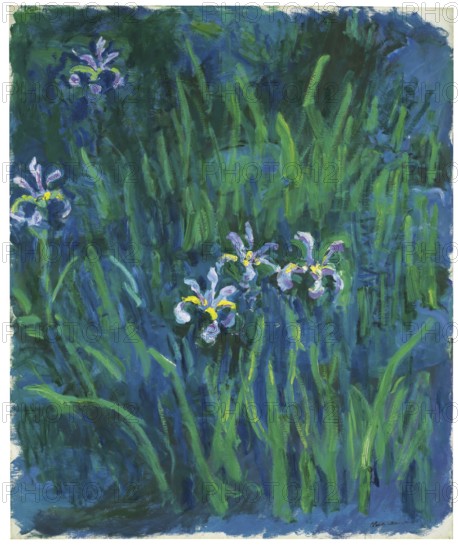Claude Monet (b. 14 November 1840 in Paris as Oscar-Claude Monet, d. 5 December 1926) important French painter, Impressionist style. Here is his work, Iris blossoms, iris flowers blooming in a green, lush meadow in spring
