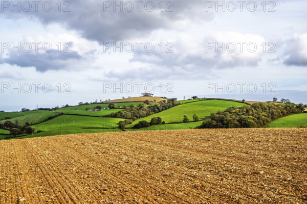 Colours of Devon Farms and Fields over Paignton and Berry Pomeroy, Totnes, England, United Kingdom