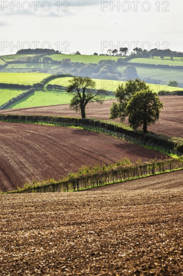 Colours of Devon Farms and Fields over Paignton and Berry Pomeroy, Totnes, England, United Kingdom