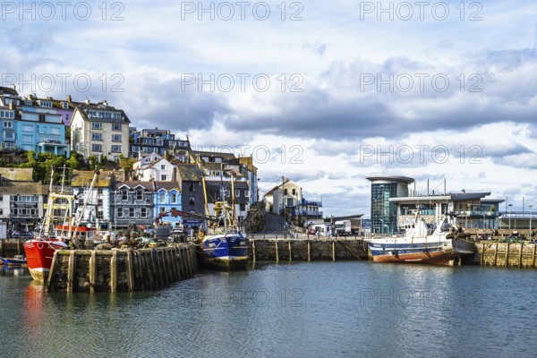 Brixham Hourbour and Brixham Marina, Brixham, Torbay, Devon, England, United Kingdom