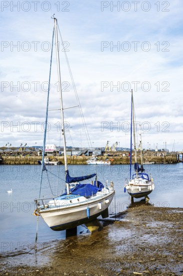 Brixham Hourbour and Brixham Marina, Brixham, Torbay, Devon, England, United Kingdom