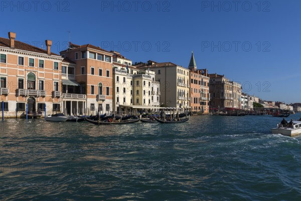 Palazzi on the Grand Canal, gondolas with tourists, Venice, Veneto, Italy