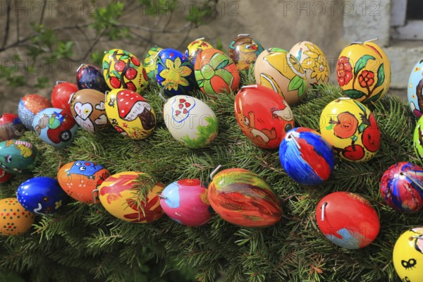Easter fountain in Franconian Switzerland, Bamberg district, Upper Franconia, Bavaria, Germany, colorful, hand-painted Easter eggs lie decoratively on conifer branches