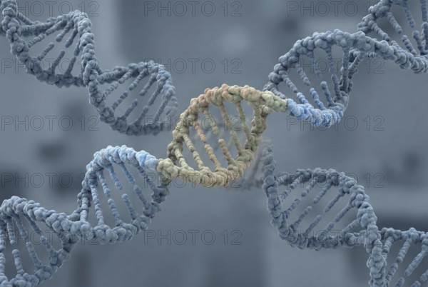 Molecular view of a human DNA double helix embedding tightly integrated sequences of ancient endogenous retroviruses (ERVs), evidence for viral evolution of the human genome. Virology, infectiology, molecular biology, genetics, biotechnology, AI generated