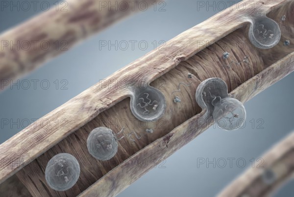 Microscopic visualisation of therapeutic exosomes (small extracellular vesicles) that are released by stem cells and repair damaged heart muscle cells after a heart attack. Cardiology, regenerative medicine, AI generated