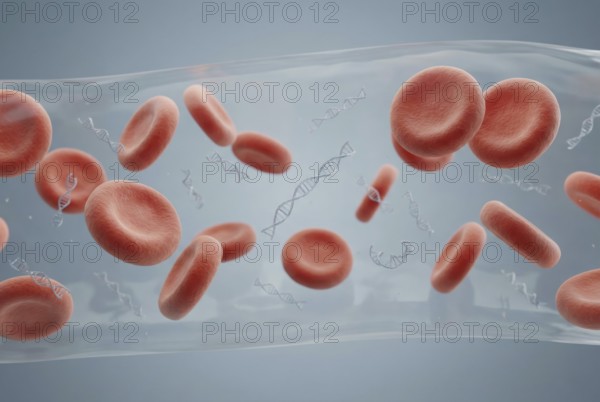 Microscopic scene in the bloodstream: Tiny fragments of mutated cell-free tumour DNA (ctDNA) circulate alongside red blood cells, serving as early biomarkers for cancer diagnostics (liquid biopsy) . Oncology, immunology, immunotherapy, diagnostics, laboratory medicine, AI generated