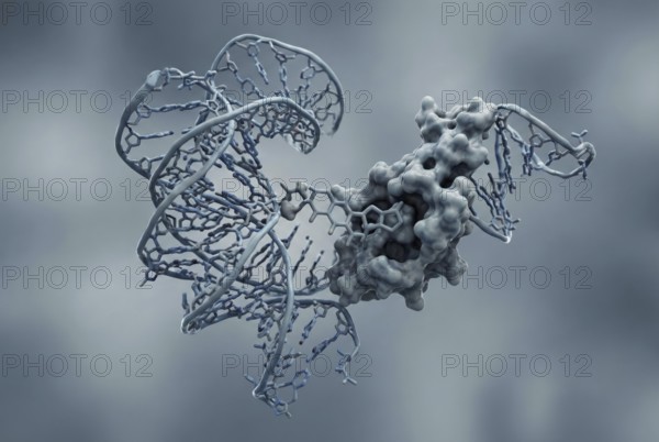 Molecular view of a novel broad-spectrum antiviral agent (molecule) that specifically binds to a highly conserved region of a viral RNA genome to stop replication. Virology, infectiology, AI generated