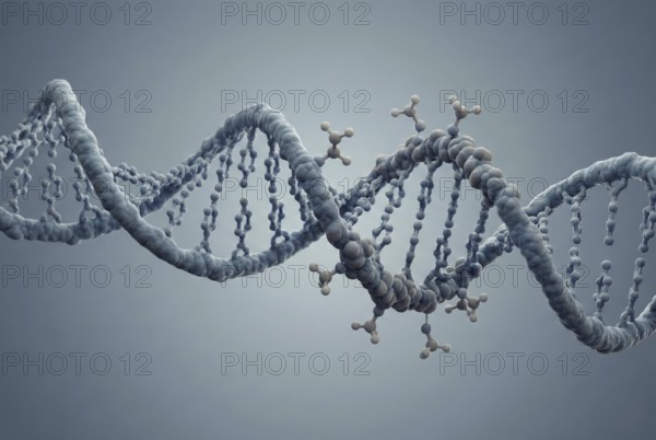Microscopic molecular visualisation of DNA methylation: small chemical methyl groups attach themselves to the DNA strand, which switches off (silences) certain genes. Concept of epigenetics and gene regulation. Molecular biology, genetics, biotechnology, AI generated