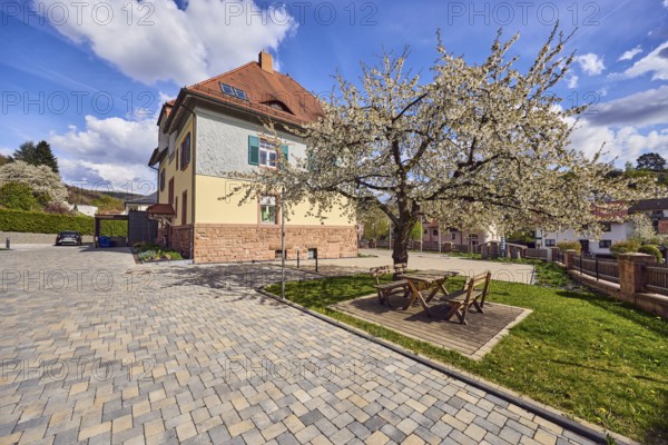 Blooming tree, benches, public table, lawn, town hall, commercial building, street made of colored concrete paving stones, trees, hedge, blue sky, cumulus clouds, cirrus clouds, Hessenthälchenweg, Am Mühlbach, Waldaschaff, Lower Franconia, Aschaffenburg district, Bavaria, Germany