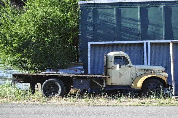 An abandoned old truck on the side of the road next to a green wall and trees, Mitchell, Oregon, USA