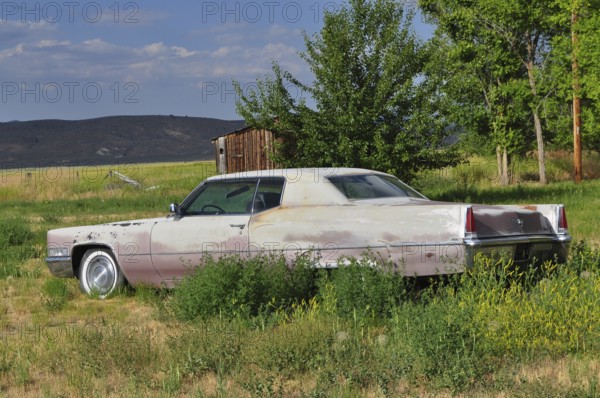 Abandoned old car, Cadillac classic car, in a meadow next to a small wooden building, Unity, Oregon, USA