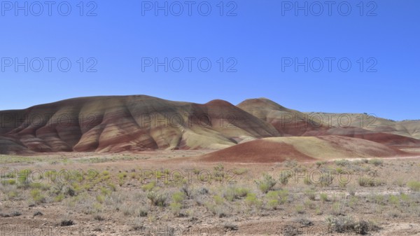 Painted Hills Landscape with Red and Yellow Hills and Clear Blue Sky, John Day Fossil Beds National Monument, Painted Hills Unit, Oregon, USA