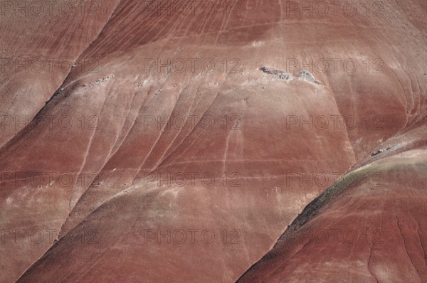 Detailed view of sediment layers and textures of a red hill in the Painted Hills, John Day Fossil Beds National Monument, Painted Hills Unit, Oregon, USA