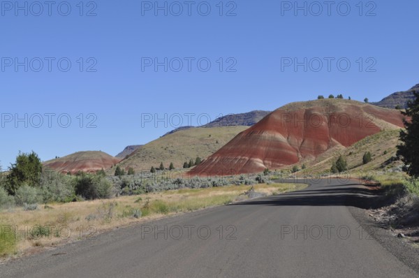 Asphalt road leads through the Painted Hills landscape under clear skies, John Day Fossil Beds National Monument, Painted Hills Unit, Oregon, USA