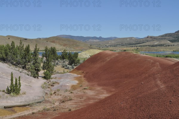 Red hills with trees and a river in a sunny landscape, John Day Fossil Beds National Monument, Painted Hills Unit, Oregon, USA