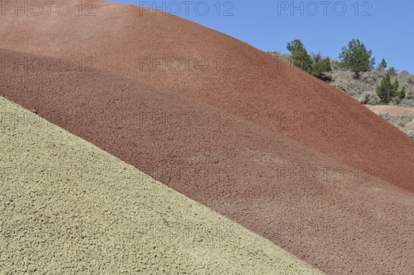 Close-up of multicolor hills with plants, John Day Fossil Beds National Monument, Painted Hills Unit, Oregon, USA