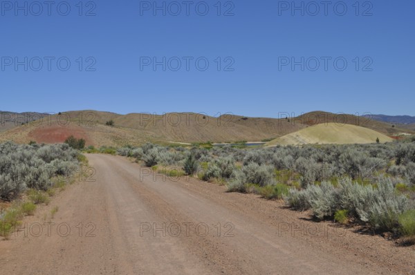 Gravel road in natural setting with hills in background, John Day Fossil Beds National Monument, Painted Hills Unit, Oregon, USA