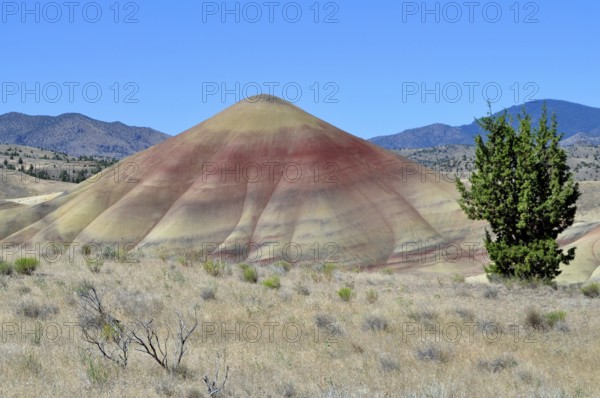 Colourfully patterned hills with intense geological discoloration, clear lines, John Day Fossil Beds National Monument, Painted Hills Unit, Oregon, USA