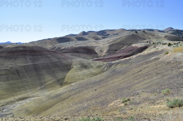 Colorful, eroded hills under clear skies with varied scenery, John Day Fossil Beds National Monument, Painted Hills Unit, Oregon, USA