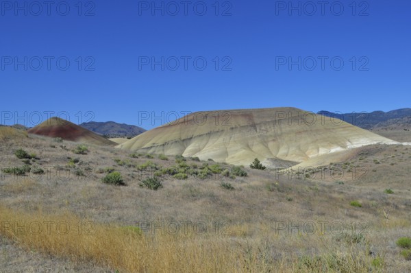 Colourful, sprawling hills under bright blue sky with dry vegetation, John Day Fossil Beds National Monument, Painted Hills Unit, Oregon, USA