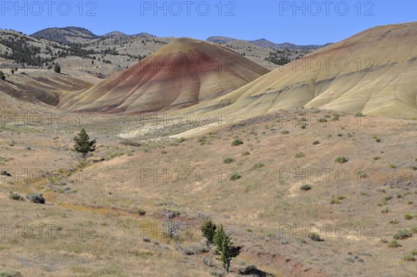 Red and yellow hills in the arid landscape of the Painted Hills under clear skies, John Day Fossil Beds National Monument, Painted Hills Unit, Oregon, USA