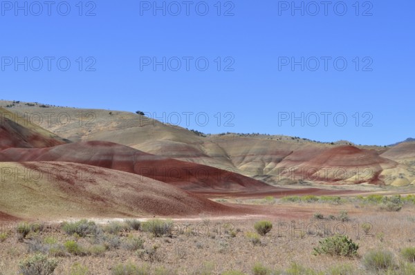 Wide landscape with red hills and sparse vegetation under blue sky, John Day Fossil Beds National Monument, Painted Hills Unit, Oregon, USA