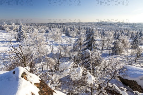 View from Großer Lugstein of the sunny winter landscape with snow-covered trees, bushes, trails and branches covered with hoarfrost on the Erzgebirgskamm, Zinnwald-Georgenfeld, Altenberg, Eastern Ore Mountains, Saxony, Germany