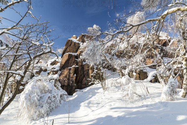 Großer Lugstein, sunny winter landscape with snow-covered trees, bushes, trails and branches covered with hoarfrost on the Ore Mountains Ridge, Zinnwald-Georgenfeld, Altenberg, Eastern Ore Mountains, Saxony, Germany