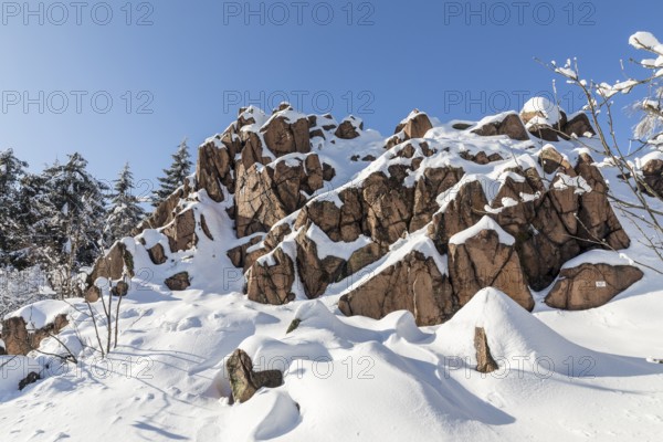 Kleiner Lugstein, sunny winter landscape with snow-covered trees, bushes, trails and branches covered with hoarfrost on the Ore Mountains Ridge, Zinnwald-Georgenfeld, Altenberg, Eastern Ore Mountains, Saxony, Germany