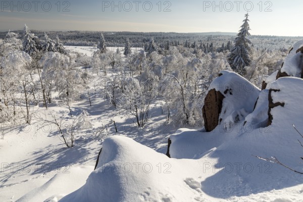 View from Kleiner Lugstein of the sunny winter landscape with snow-covered trees, bushes, trails and branches covered with hoarfrost on the Erzgebirgskamm, Zinnwald-Georgenfeld, Altenberg, Eastern Ore Mountains, Saxony, Germany