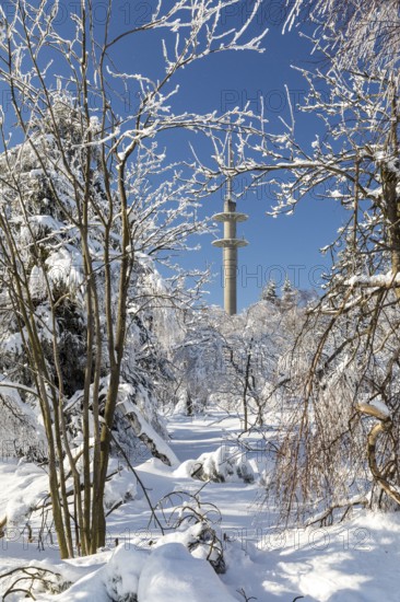 Radio tower on Lugstein, sunny winter landscape with snow-covered trees and branches covered with hoarfrost on the Ore Mountains Ridge, Zinnwald-Georgenfeld, Altenberg, Eastern Ore Mountains, Saxony, Germany