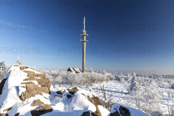 View from Großer Lugstein of the radio tower and the sunny winter landscape with snow-covered trees, bushes, paths and branches covered with hoarfrost on the Ore Mountains Ridge, Zinnwald-Georgenfeld, Altenberg, Eastern Ore Mountains, Saxony, Germany