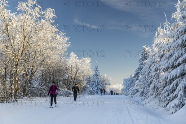 Many skiers are out and about on the trails on the Erzgebirgskamm in Winterwald, Zinnwald-Georgenfeld, Altenberg, Osterzgebirge, Saxony, Germany