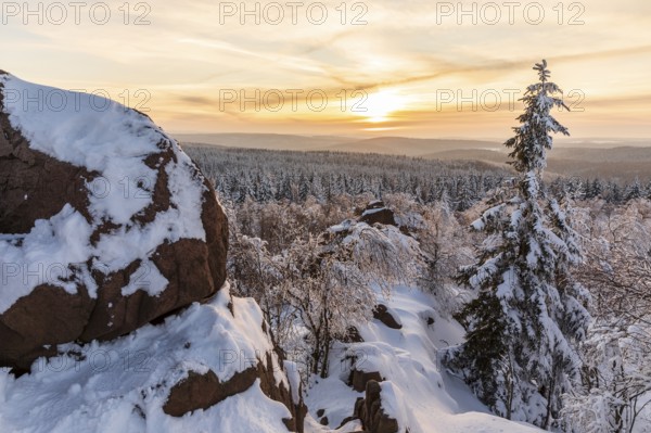 View from Großer Lugstein of the winter landscape with snow-covered trees and branches covered with hoarfrost on the Ore Mountains Ridge at sunset, Zinnwald-Georgenfeld, Altenberg, Eastern Ore Mountains, Saxony, Germany