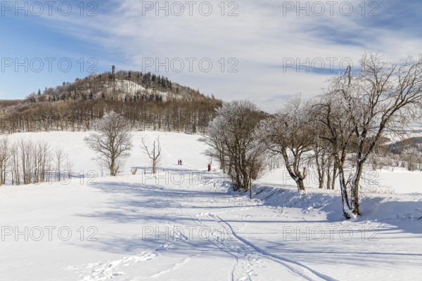 Geisingberg with observation tower in winter, Altenberg, Eastern Ore Mountains, Saxony, Germany