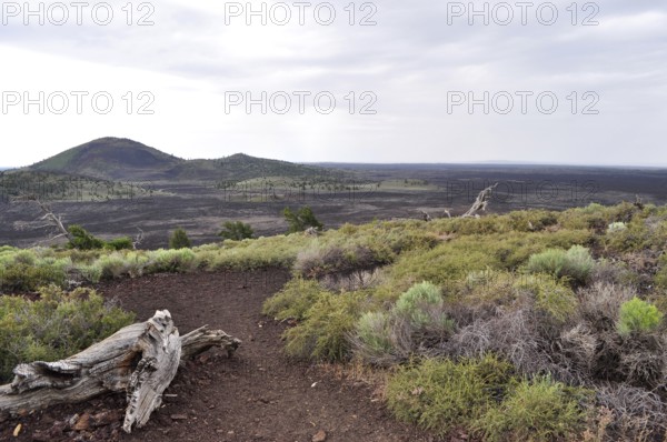 Trail leads through barren, hilly lava landscape, Craters of the Moon National Monument, Idaho, USA