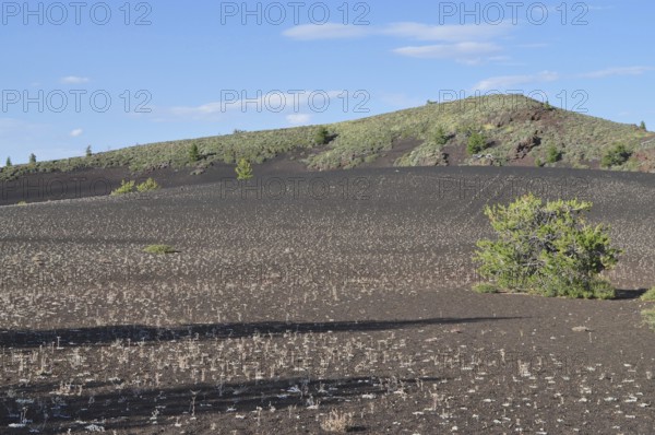 Lava rock covers a hill in this sparse vegetation landscape under blue skies, Craters of the Moon National Monument, Idaho, USA