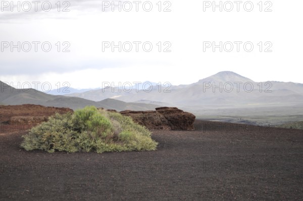 Vegetation grows on dark, volcanic soil under cloudy skies, Craters of the Moon National Monument, Idaho, USA