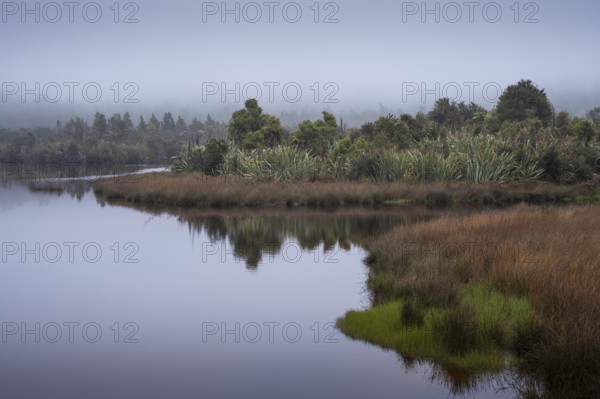 The Okarito Lagoon in fog, a lagoon or wetland. Westland Tai Poutini National Park, West Coast, South Island, New Zealand