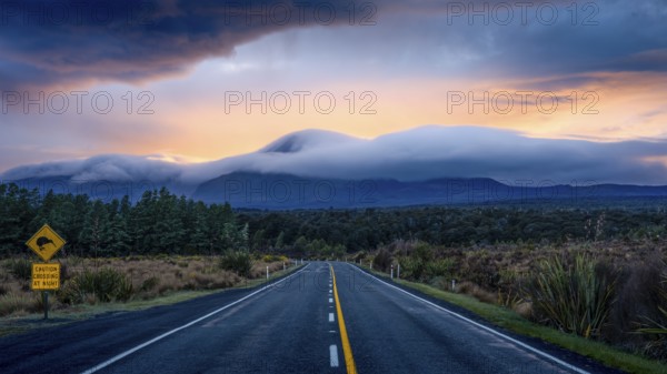 Mount Ngauruhoe in the morning at sunrise with glowing clouds, road SH 47, road sign, warning sign with kiwi. Tongariro National Park, North Island, New Zealand