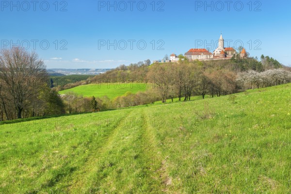 View of hilly landscape with green meadows and blooming cherry trees at Leuchtenburg in spring, behind Jena, Seitenroda near Kahla, Thuringia, Germany