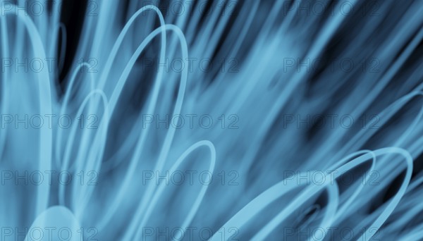 This captivating 3D render depicts an abstract background of swirling blue lines that create a mesmerizing sense of motion and depth. The harmonious blend of blues evokes a tranquil, serene atmosphere ideal for creative projects