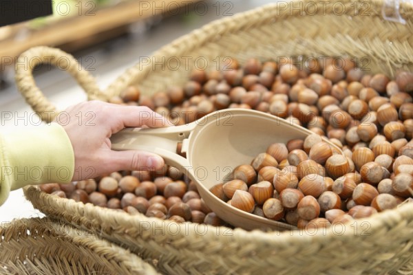 Cropped unrecognizable hands woman in a supermarket carefully selects fresh hazelnuts using a plastic scoop from a large wicker basket