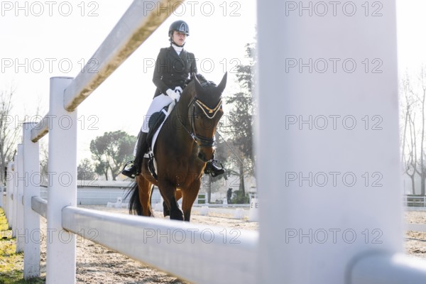 From below teenage girl dressed in classic equestrian attire performs dressage on a brown horse in an outdoor arena. She looks focused and is looking away from the camera
