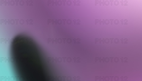 Serene blend of purple and green hues creating a smooth color gradient, perfect for elegant backgrounds or graphic designs